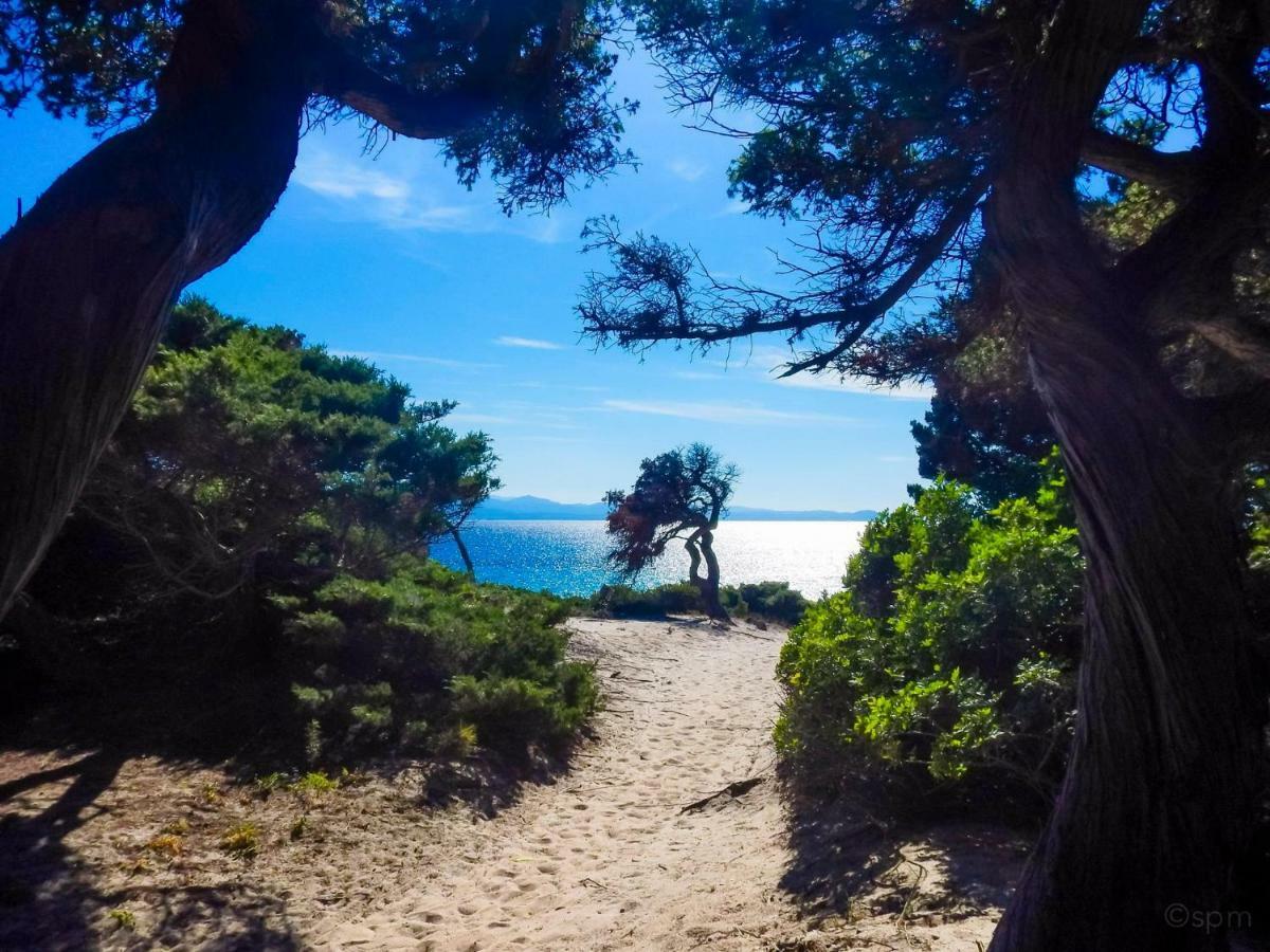 Hotel Marinaro Santa Teresa Gallura Εξωτερικό φωτογραφία